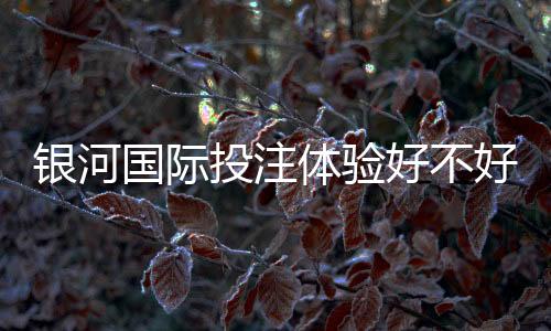 银河国际投注体验好不好？资深玩家亲测平台真实体验分享