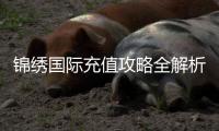 锦绣国际充值攻略全解析