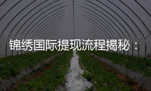 锦绣国际提现流程揭秘:简单快速,轻松取现!