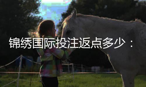 锦绣国际投注返点多少：最新优惠一览