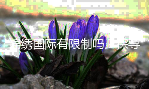锦绣国际有限制吗?探寻无限可能的未来