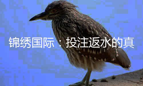 锦绣国际:投注返水的真实体验与攻略