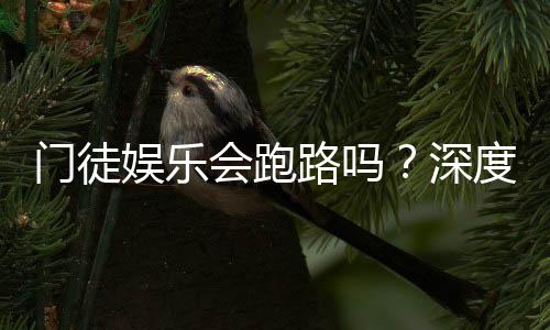 门徒娱乐会跑路吗?深度解析平台安全性与玩家保障措施