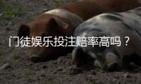 门徒娱乐投注赔率高吗？深度解析平台赔率优势与实战策略