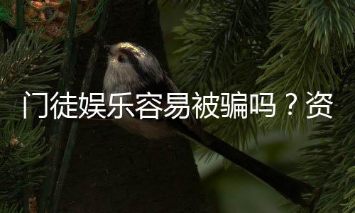 门徒娱乐容易被骗吗?资深玩家揭秘防骗技巧与平台选择