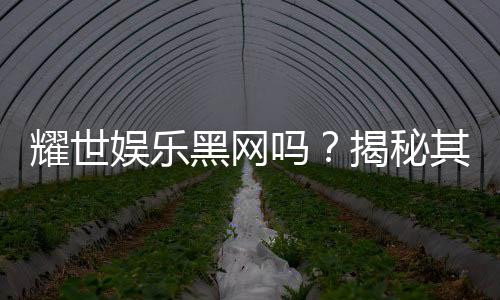 耀世娱乐黑网吗？揭秘其真伪与玩家安全攻略