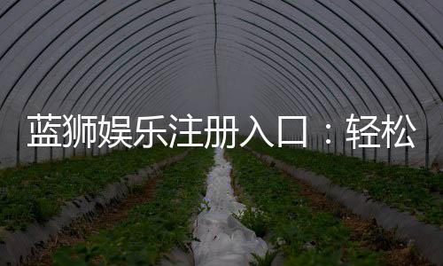 蓝狮娱乐注册入口:轻松获取游戏体验的官方通道指南
