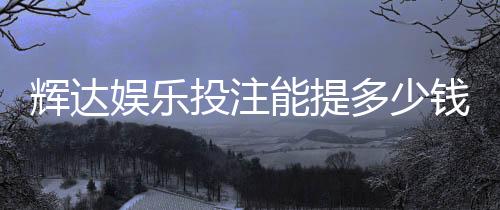 辉达娱乐投注能提多少钱？揭秘提款额度与到账规则