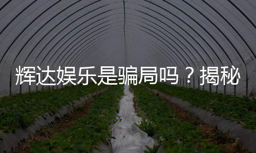 辉达娱乐是骗局吗？揭秘其真实性与玩家体验