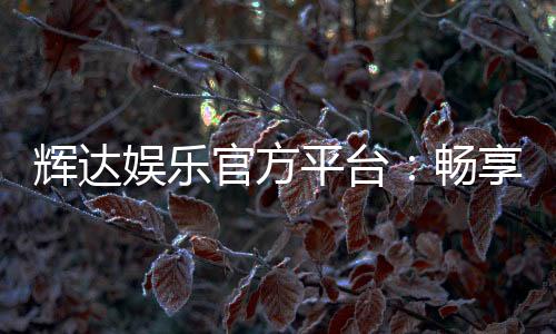 辉达娱乐官方平台：畅享高品质电子游艺与棋牌乐趣