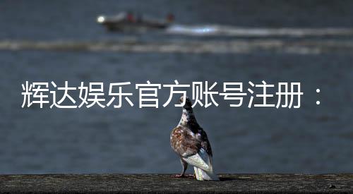 辉达娱乐官方账号注册：轻松完成三步快速开户指南
