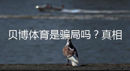 贝博体育是骗局吗?真相调查、用户评价与风险防范全攻略