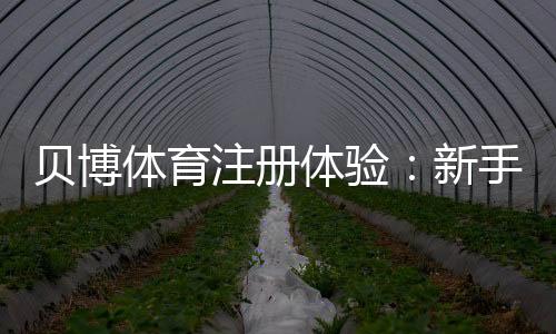 贝博体育注册体验:新手注册流程、优惠领取与安全性全面评测