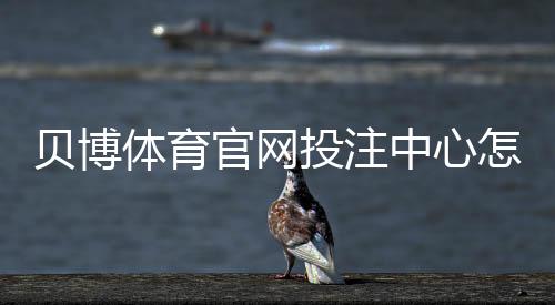 贝博体育官网投注中心怎么玩?新手注册、充值与常见玩法全面攻略