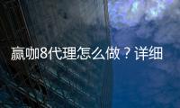 赢咖8代理怎么做？详细申请流程与盈利技巧分享