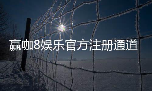 赢咖8娱乐官方注册通道:轻松开启你的高端游戏体验之旅