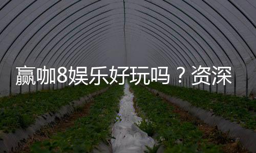 赢咖8娱乐好玩吗？资深玩家带你揭秘真实体验与赢钱技巧