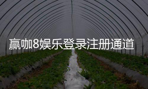 赢咖8娱乐登录注册通道：畅享顶级棋牌电游的尊贵体验