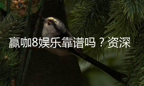 赢咖8娱乐靠谱吗?资深玩家亲测体验分享