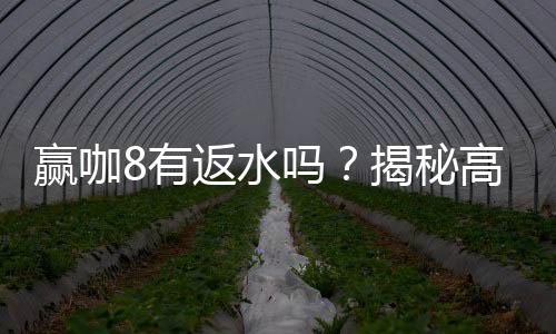 赢咖8有返水吗？揭秘高额返水优惠与领取攻略