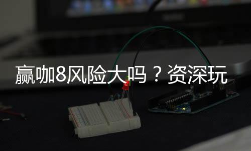 赢咖8风险大吗？资深玩家解析真实风险与应对策略