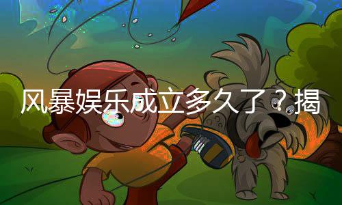 风暴娱乐成立多久了?揭秘平台发展历程与玩家真实体验