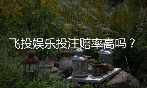 飞投娱乐投注赔率高吗？深度解析高赔率玩法与实战技巧