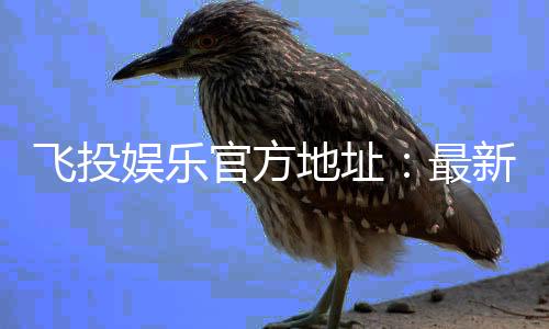 飞投娱乐官方地址:最新官网入口及安全登录指南