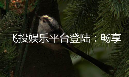 飞投娱乐平台登陆:畅享顶级游戏体验与安全登录指南