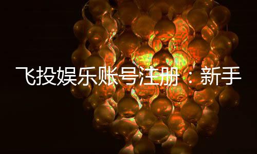 飞投娱乐账号注册:新手必看的快速注册指南