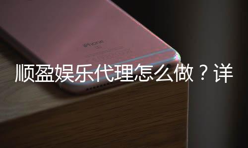 顺盈娱乐代理怎么做?详细申请流程与盈利技巧分享