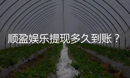顺盈娱乐提现多久到账?实测到账时效与流程详解
