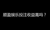 顺盈娱乐投注收益高吗？深度解析平台盈利潜力与实战策略
