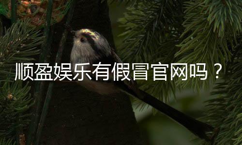 顺盈娱乐有假冒官网吗?揭秘真假官网辨别技巧与防骗指南