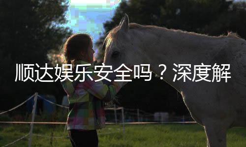 顺达娱乐安全吗？深度解析平台可靠性与玩家真实体验