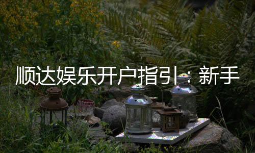 顺达娱乐开户指引:新手必看的快速注册与首存攻略