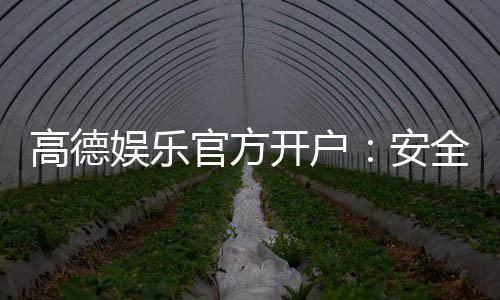高德娱乐官方开户：安全便捷的注册流程与新手礼包详解