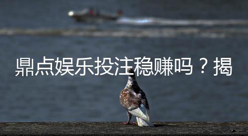 鼎点娱乐投注稳赚吗?揭秘真实盈利策略与风险控制