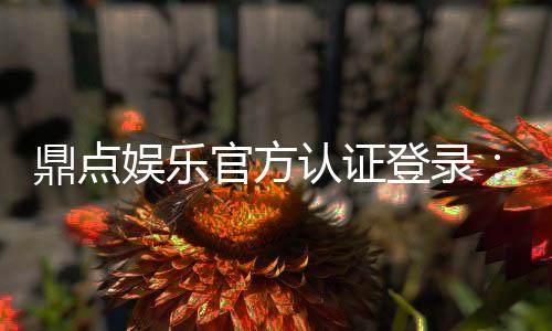 鼎点娱乐官方认证登录:安全便捷的一站式游戏平台入口