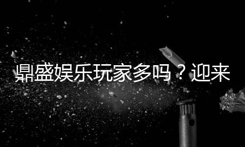 鼎盛娱乐玩家多吗？迎来了热闹场面