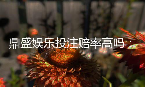 鼎盛娱乐投注赔率高吗:值得信赖的玩家选择