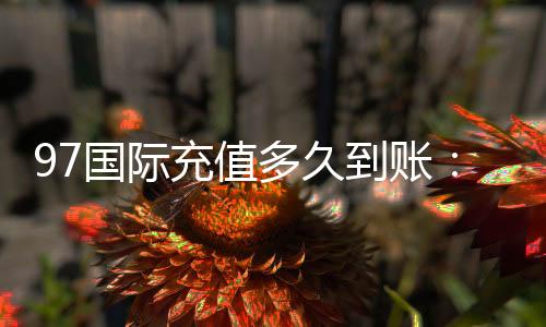 97国际充值多久到账：便捷安全快速到账方式分享