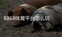 8868体育平台怎么玩？新手注册、充值、玩法与安全全面解析