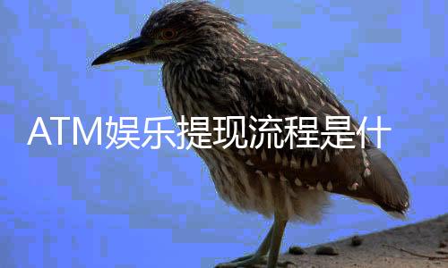 ATM娱乐提现流程是什么？手把手教你快速到账技巧