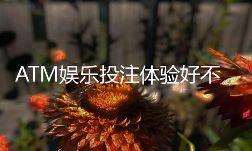 ATM娱乐投注体验好不好?资深玩家分享真实测评与实战技巧