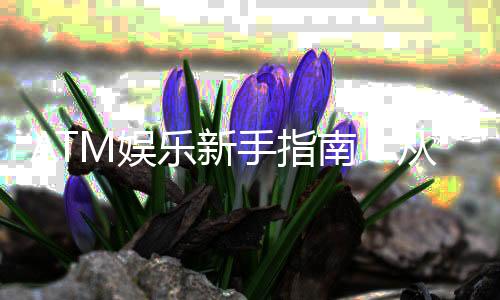 ATM娱乐新手指南：从注册到提款的完整攻略