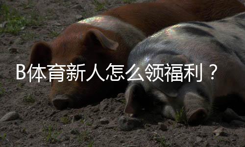 B体育新人怎么领福利?注册领取流程、优惠种类与注意事项详解