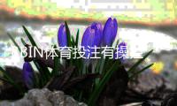 BBIN体育投注有操控吗？真相解析、监管现状与玩家自保指南