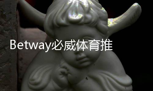 Betway必威体育推广返利高吗？真实返利比例与收益计算攻略