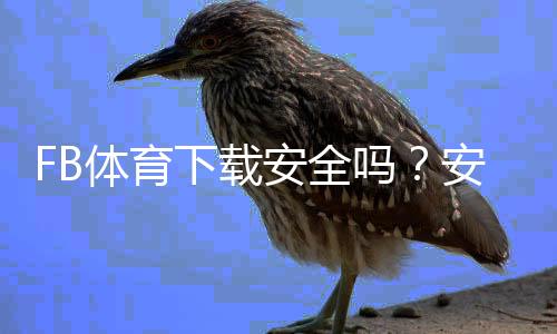 FB体育下载安全吗？安全性全面解析与防骗实用指南